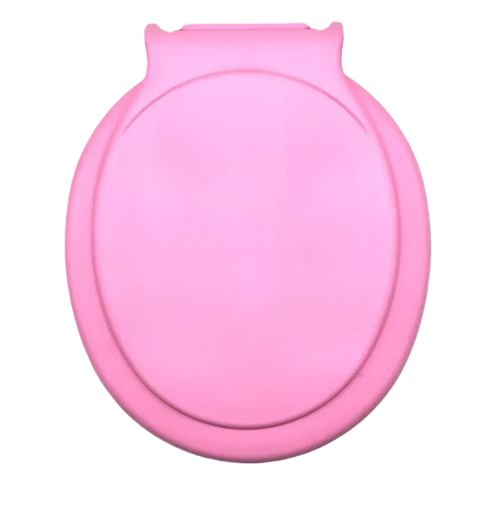 [1711] ASIENTO INODORO CAMILO FLORENCIA ROSA VIEJO